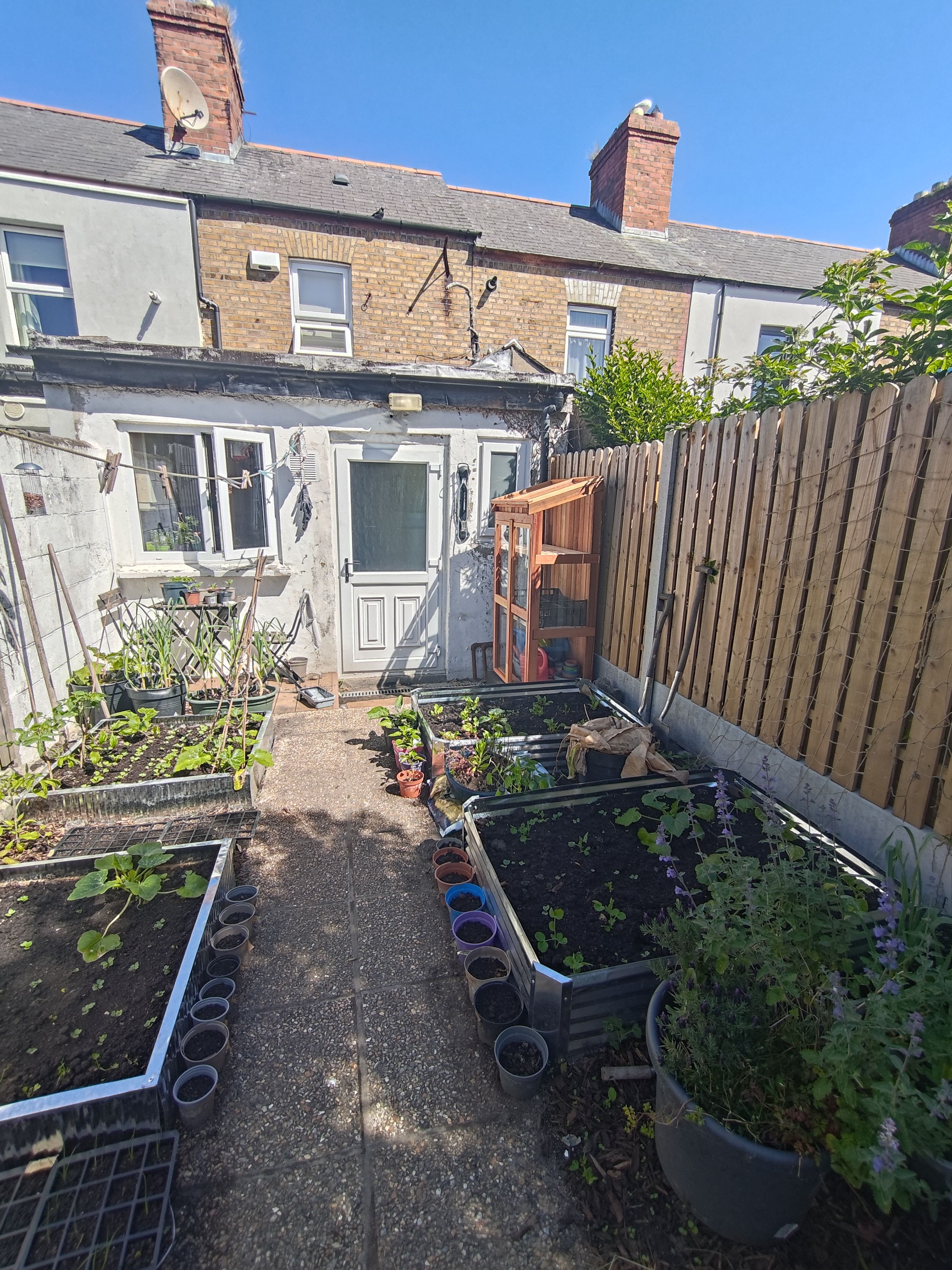 A greenhouse tucked in a sunny corner of a well used garden